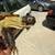 Russian tortoise 8 thumbnail