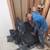Cabinetry, Flooring, Painting, Electrical, Window Repair, Handyman jobs 4 thumbnail