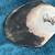 19th Century Art Nouveau Mother of Pearl Serving Spoon Serpentine H 4 thumbnail