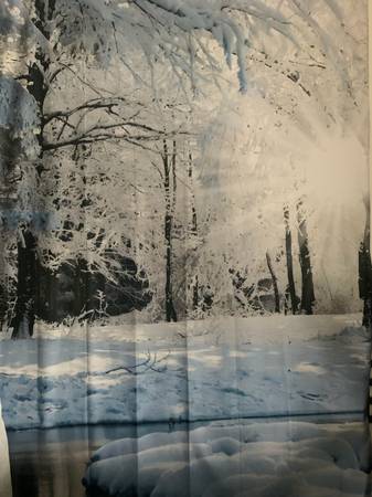 Photo Backdrop "Winter Snow Forest and Sunshine" 1
