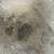 #1 SOFA & CARPET  CLEANING COMMERCIAL AND RESIDENTIAL PROFESSIONALS! 5 thumbnail