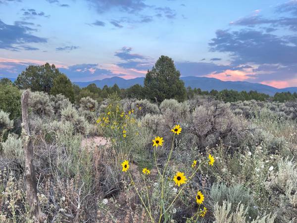 $275 Off grid homestead for camper/tiny home parking (Carson)63659833024259120