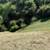 Vacant land for sale (Loc.: Rising drive) 15000sqft 4 thumbnail
