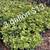 1 gallon to 30 gallon 
$6 to $275
Saturday Sunday 8to12
Monday to Friday 8t6 
44 16 thumbnail