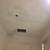 Painter, drywall, plaster   interior&exterior 3 thumbnail