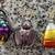 Halloween - Department 56 Glass Ornaments (Set of 3) 1 thumbnail