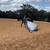 5 y/o mustang mare trail horse lesson horse 4 thumbnail