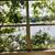 Disney Penthouse 4BR/2BA LAKEFRONT - Atrium 15 ft LR ceiling 6 thumbnail