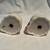 *HTF* FOUR SANTA HEADS - CREAMER, COVERED SUGAR, SALT & PEPPER SHAKERS 7 thumbnail
