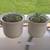 Flower pots $10 20 thumbnail