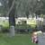 Cemetery plot Serenity Meadows Riverview Florida close to Brandon 2 thumbnail