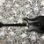 PRS DW CE24 Floyd Rose 3 thumbnail