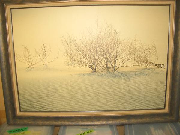 " Solitude - Eureka Dunes, Death Valley" 1