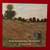 Musee d'Orsay MONET CORK-BACKED COASTER SET, 2024 (Set of 6) 1 thumbnail
