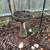 Cement bird bath 6 thumbnail