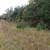0.4 Acres Near Izard County Golf – Act Fast! 4 thumbnail
