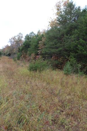 $3,600 0.4 Acres Near Izard County Golf – Act Fast! (Little Rock, AR)64312241045889123