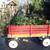 RADIO FLYER Town & Country Wagon + Berlin Flyer Tag Along 15 thumbnail