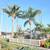 `☆`Stump Grinding`☆` Palms Trimming `☆` Tree Removed `☆` Tree Trimming 13 thumbnail