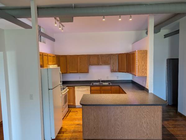 $1200.00 / 1br - ENORME apartamento de 1 dormitorio con lavadora y secadora, pisos de madera dura en Adams St63836553047297121