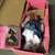 2 Paradise Galleries Porcelain Dolls 4 thumbnail