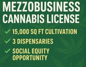 Minnesota Mezzobusiness Licnese 1