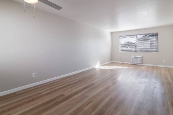 Courtyard, Laundry Facilities, Individual Climate Control 1