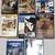 Classic Western Movies & TV Series   DVDs VHS 4 thumbnail