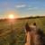 HORSE BOARD~Partial self care $300.00 3 thumbnail