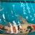 KOI, KOI, KOI, OVER 100 large healthy Koi 15” to 25” 19 thumbnail
