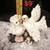 Collectables Figurines 9 thumbnail