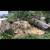 Stump grinding small tree removal/cleanup pond clearing mowing 11 thumbnail
