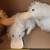 Stuffed animals 11 thumbnail