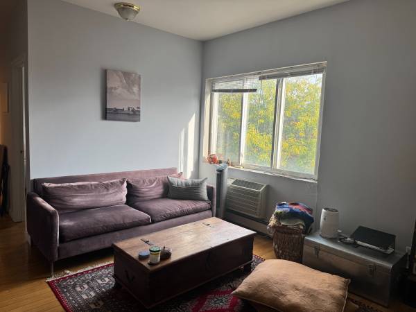 $2,500 / 1br - 450ft2 - $2,500 / 1br - 450ft2 - 1br in North Williamsburg avail Oct 1st (Brooklyn)63809019324033121