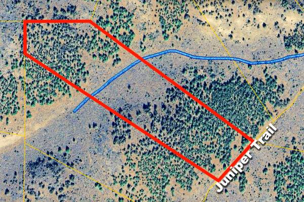 $15,000 ¿Estás diciendo 20 acres por $15,000? ¿Qué? (Termo)63656873870339121