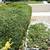 Yard Work, Sprinker repairs, Mowing, Hedge trimming, Landscaping, Delivery & 4 thumbnail