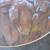 #52  Joe Watkins Artwork 2 thumbnail