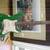 Johnson strat style guitar with strap. new strings 1 thumbnail