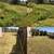 🌳🍀 landscaping & maintenance 🌴☘️ 17 thumbnail