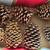 7 Large Pine Cones 1 thumbnail