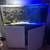 Red Sea Reefer 425 Saltwater Fish Tank Aquarium 3 thumbnail
