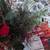 Galvanized Cardinal Arrangement 5 thumbnail