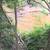 Land in Rye Tx. 18 thumbnail