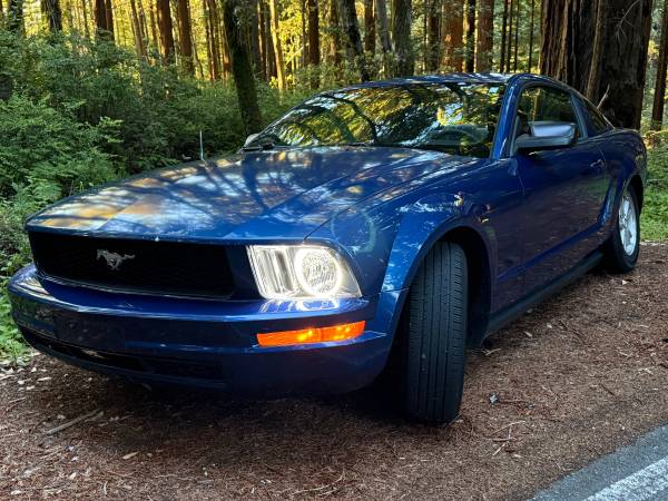 Gorgeous 2007 Ford Mustang Manual V6 - $8,800 (santa clara)63622781077121124