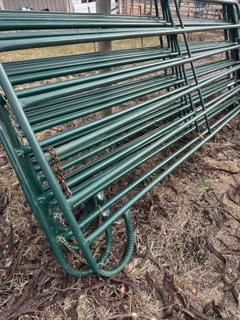 Head gate and stand feed bank panels, and gates 1