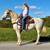 Percheron Mare   * Rides & Drives * 2 thumbnail