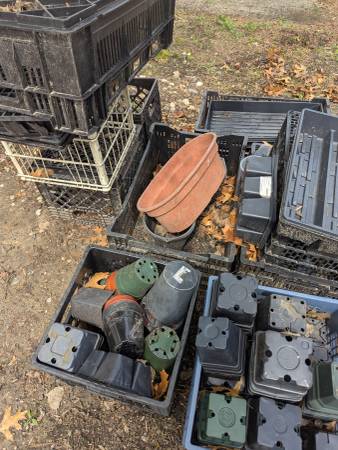 Garden containers. pots, seed flats and much more 1