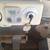6-6 volt interstate batteries 5 thumbnail