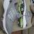 Mens 11.5 Addidas Golf Shoe 1 thumbnail