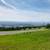 Rosehills  Admiration  and Guadalupe Terrace- price is Each plot 2 thumbnail